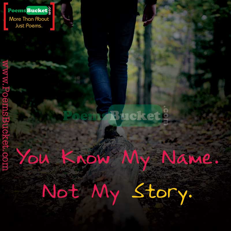 You Know My Name Not My Story, A Collection of Poems