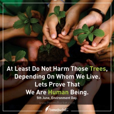 At Least Do Not Harm Those Trees - Environment Day Quote