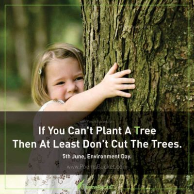 If You Can't Plant A Tree Then At Least